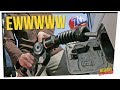 WS - Oregonians Angry About Pumping Their Own Gas ft. Silent Mike & Gina Darling