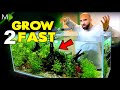 My Plants Grow Too Fast!! …Here's Why | MD Fish Tanks