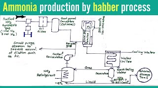 Ammonia production using Habber process flow diagram with detail description | Chemical technology