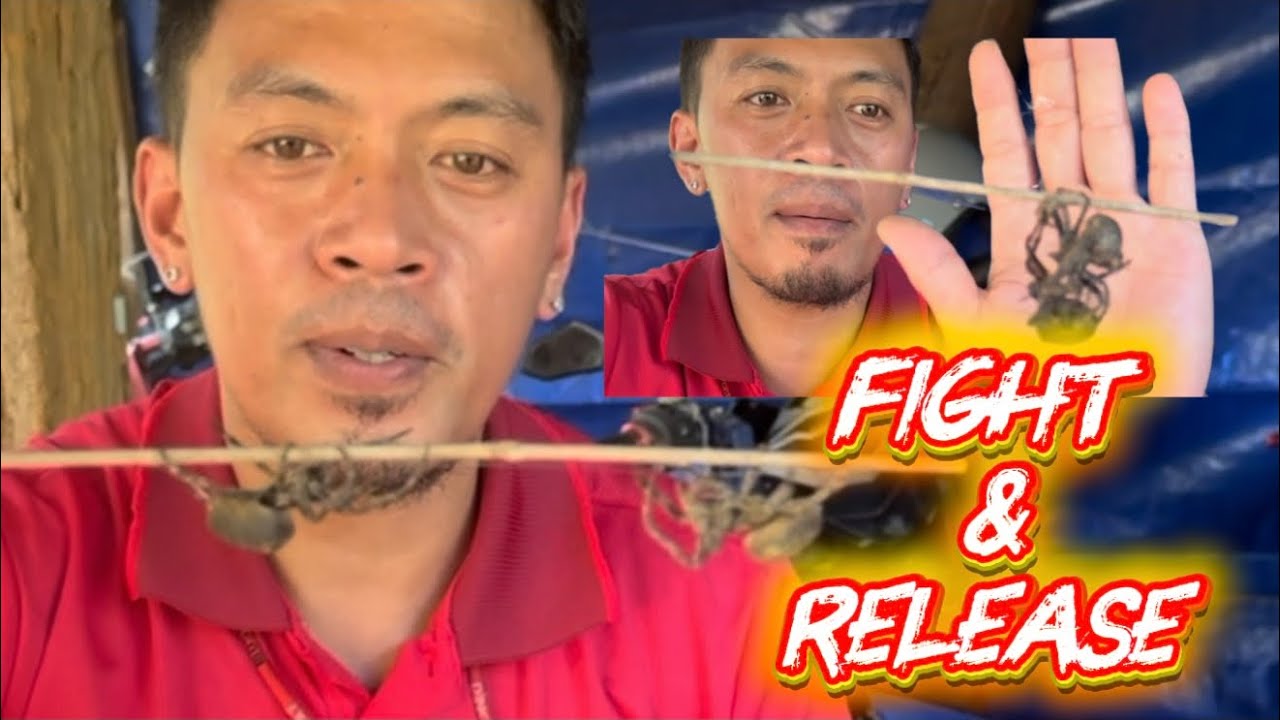 Fight & release, ang tatapang parin.