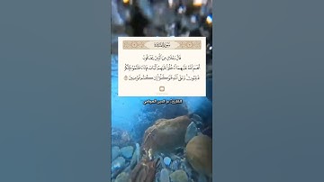 أذكروا الله كثيراً"سبحان الله وبحمده،سبحان الله العظيم 🌱" #قرآن #سورة_المائدة