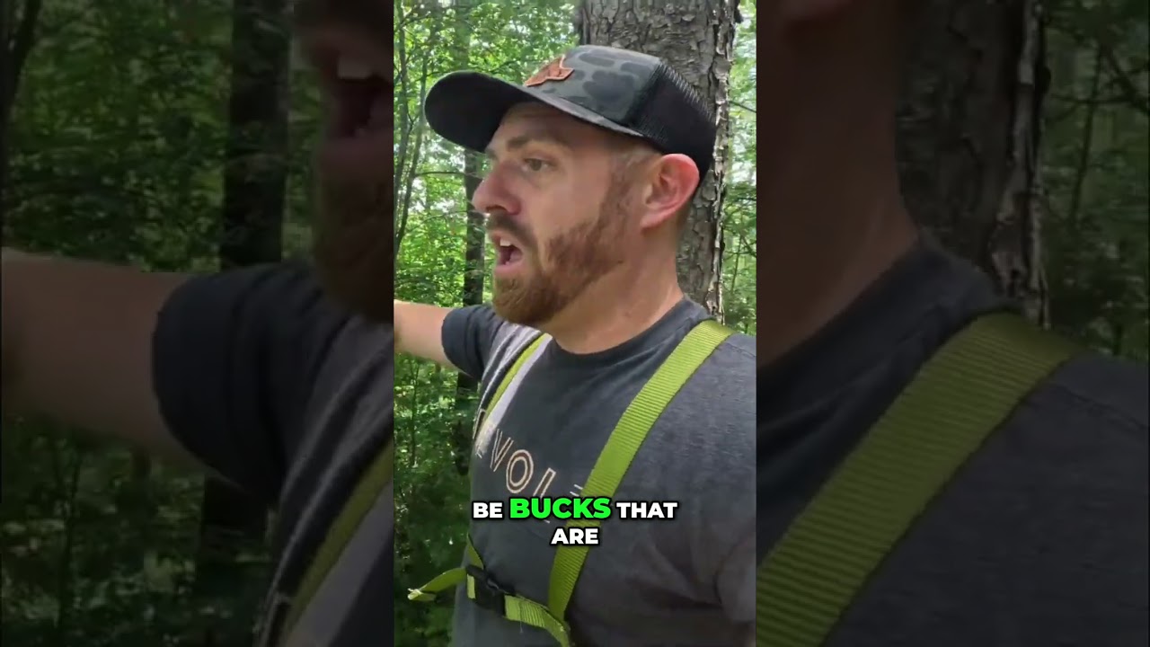 Unlocking the Secret Hunting Spot