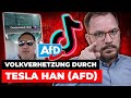 Volksverhetzung durch tesla han afd