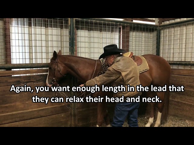 The 3 Best Ways to Tie a Mecate Lead to Your Saddle 