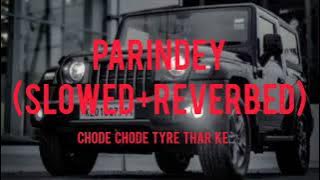 PARINDEY (slowed reverbed) |CHODE CHODE TYRE THAR KE I SUMIT GOSWAMI I SHANKY GOSWAMI