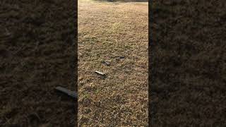 IMG 0275