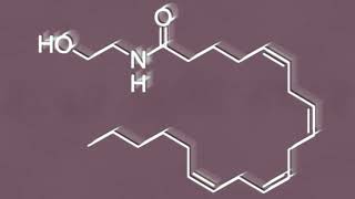 Venes7 - Anandamide