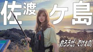 佐渡の磯場、ゼリーみたい