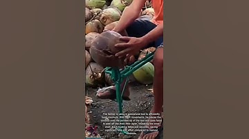 How to Peel a Coconut || Smart Technique