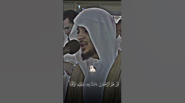 الشيخ هيثم الدخين  سورة الملك
