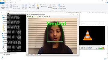 Facial Expression Recognition Demo