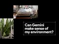 Testing Gemini: Understanding environments