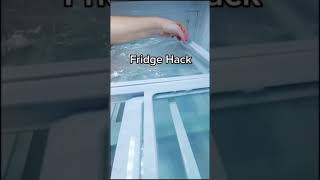 Ultimate Fridge Hack