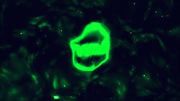 INTRO GIVEAWAY [Sync][OPEN][ENDS @75 LIKES] [My Best?]