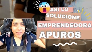 EMPRENDEDORA EN APUROS // ME QUEDE SIN SUCULENTAS