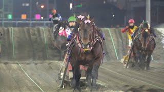 馬蹄の絆 ばんえい 馬と歩んだ北の大地｜HBC北海道放送