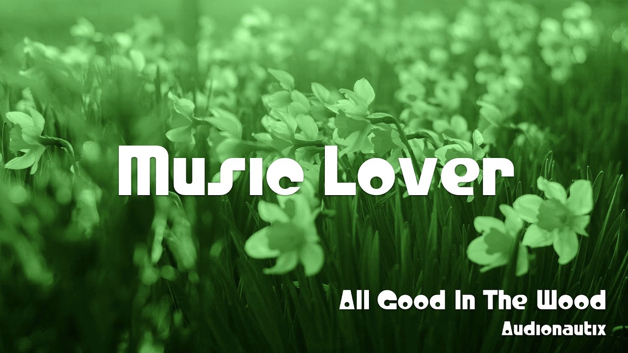 🎵 All Good In The Wood - Audionautix 🎧 No Copyright Music 🎶 YouTube Audio Library