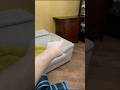 Mai correre insieme a Sonic alle 3 di notte o può succedere questo…? #shorts #horror #paura #short