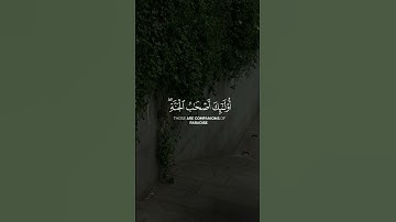اذكروا الله 🤍🤍#اكسبلور #قران_كريم #quran #لايك #قرآن #الرحمن #تلاوة_قرآن