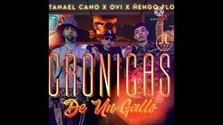 Crónicas de un Gallo - Natanael Cano x Ovi x Ñengo flow (Audio Official)