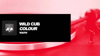 Wild Cub - Colour (Official Audio)