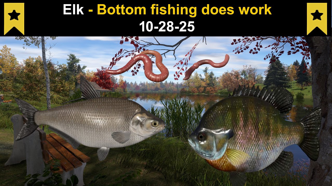 Русская рыбалка 4, Лось - Донная рыбалка работает (Трофейный синежаберный окунь) 28.10.25