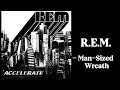 R.E.M. - Man-Sized Wreath (Guitar Cover)