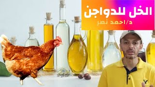 فوائد الخل المذهلة للدواجن وجرعه الخل للدواجن | تربية الدواجن بالاعشاب