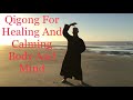 20 Minute Qigong Routine for Healing and Calming Body and Mind ( The Bone Marrow Cleanse)