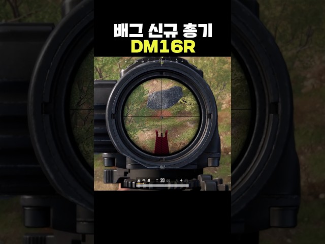 배그 신규 총기 DM16R