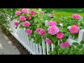 House and Flower - Beautiful Garden Fence Ideas