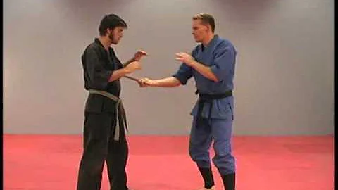 How to Use a Stick in the Martial Arts by Rick Tew...