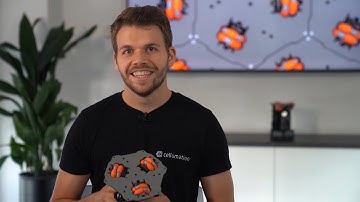 Which conveying functions can the celluveyor perform? (english subtitles)