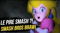 POURQUOI SMASH BROS BRAWL est DÉTESTÉ !?