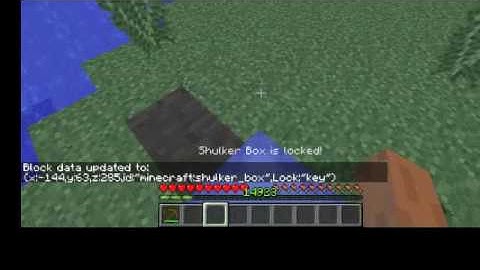 locking a shulker box in survival
