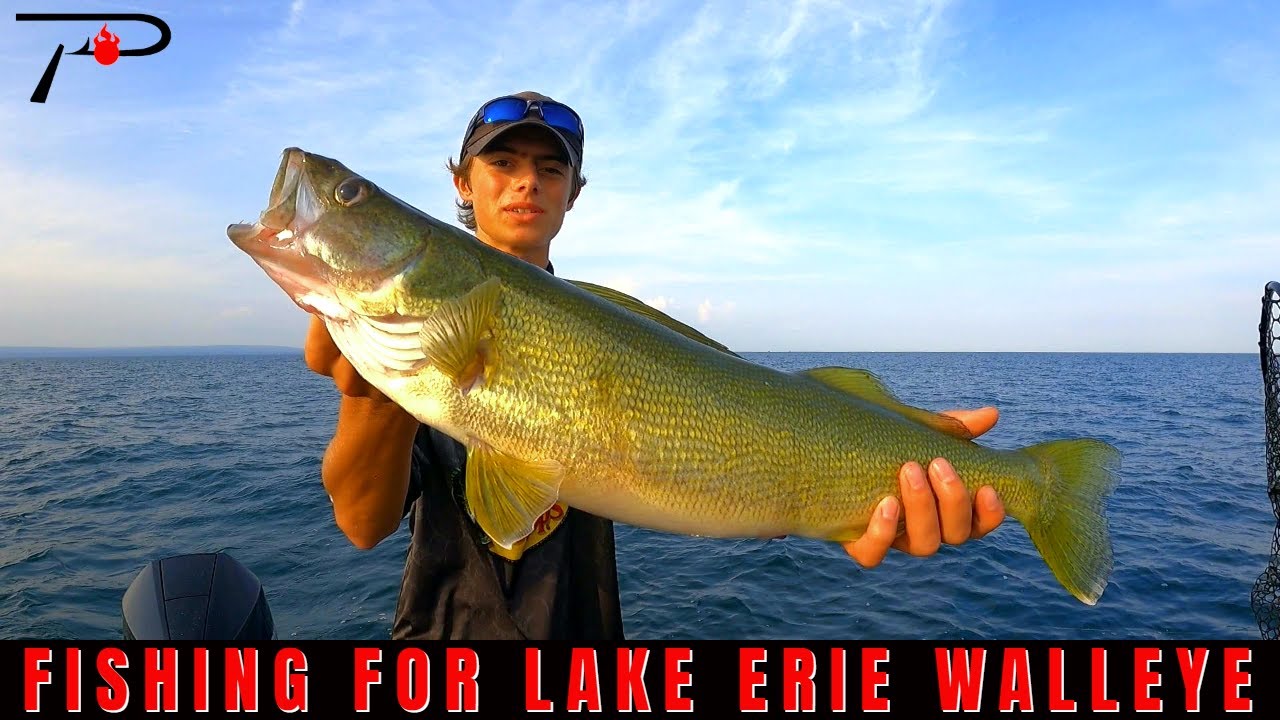 Lake Erie Walleye Fishing 