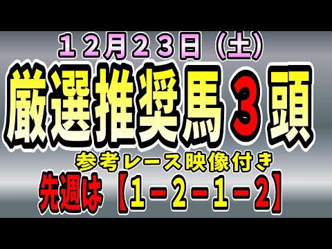 【有馬記念】【中山大障害】【G1】【Ｇ１】【予想】 中央競馬 １２月２３日の推奨馬です