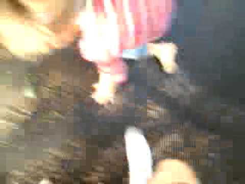 ჩემი ძმისშვილი