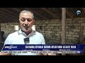 Cəlilabadda heyvanlar arasında kütləvi dabaq xəstəliyi yayılıb