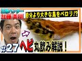 【MAX100種飼育】生物ハンター加藤英明・ヘビに自分より大きな鳥を与えた結果公開【どうぶついきもの・爬虫類・ゆっくり解説】World animal channel,Japan