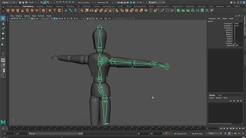 Manual Rigging Part 1 (Creating Joints)