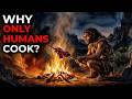 Why Cooking Made Us Human | History for Sleep