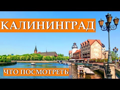 КАЛИНИНГРАД ЗА 1 ДЕНЬ: что посмотреть, достопримечательности, куда сходить, красивые места