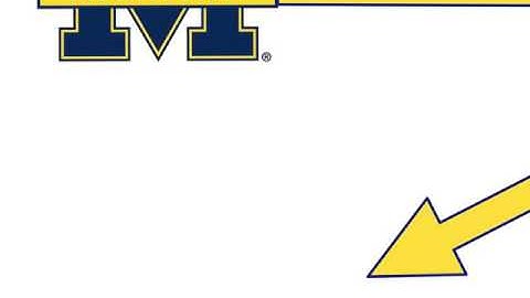 Grutter V. Bollinger