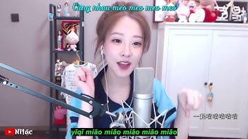 Feng Timo - Say Meow Meow