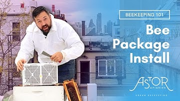 How To Install A Honey Bee Package