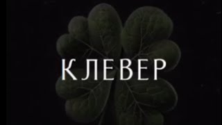 KRBK - Клевер | Новинка 2023