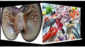 DAV , CLASS-5, Lesson-4 Animals Our Friends ( Uses of Animals)