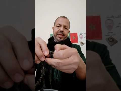 ماوراء الجدران ميمون خادم السحر يحضره من بئر بوفلوس بأقا اقليم طاطا عمره 31 سنة ويكشف عن خباياه