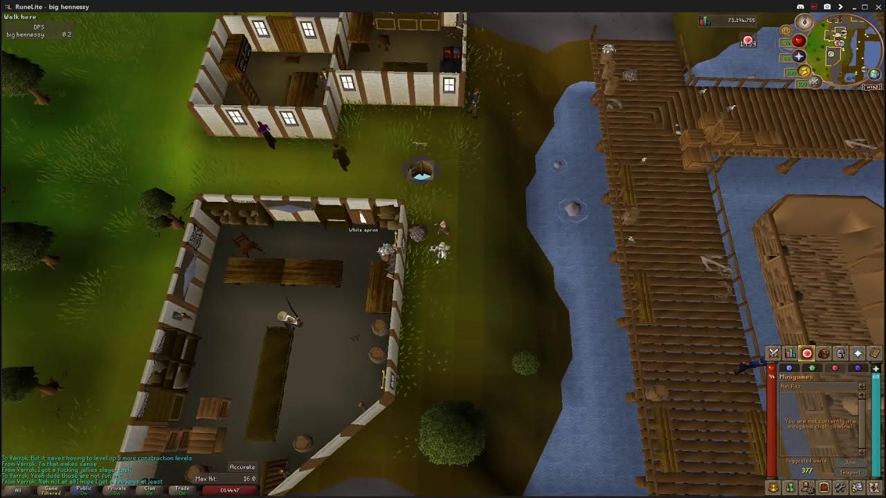 How to Train Your Cat Into Wily Cat (OSRS) (2021) YouTube
